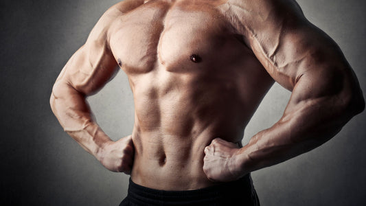 Build a Body Like a Fortress with K3 Nutriments Whey Protein