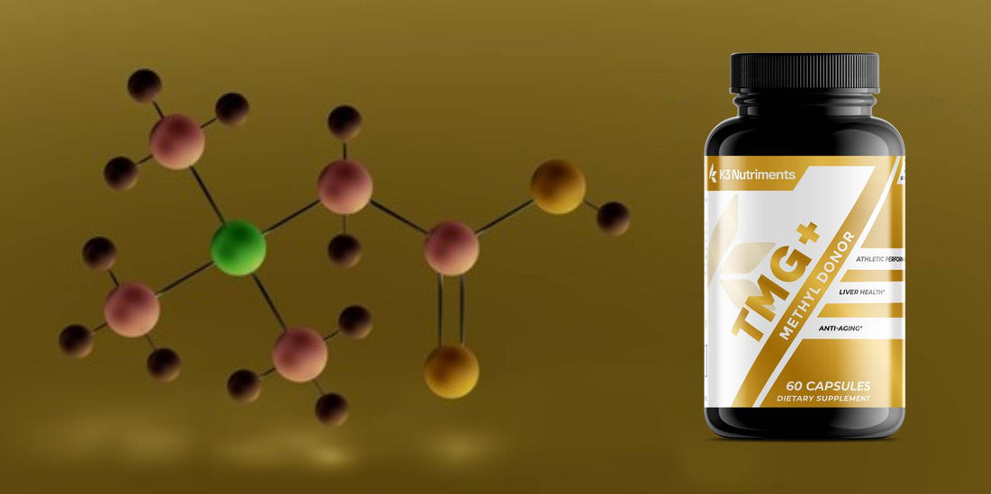 TMG Supplement - Exploring Its Powerful Health Benefits