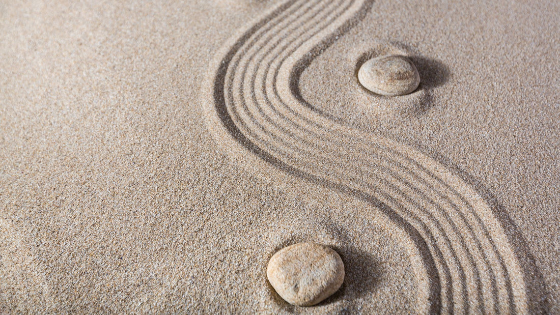 Embracing a Holistic Approach to Healthy Living