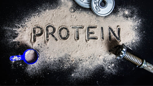 Why Protein Powder is Absolutely Necessary for Great Health