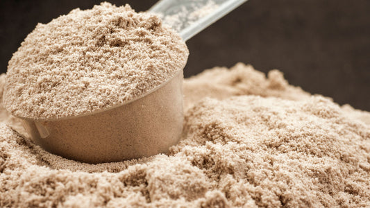 Best Protein Powder for Muscle Recovery and Growth: The Ultimate Guide to Choosing the Right One