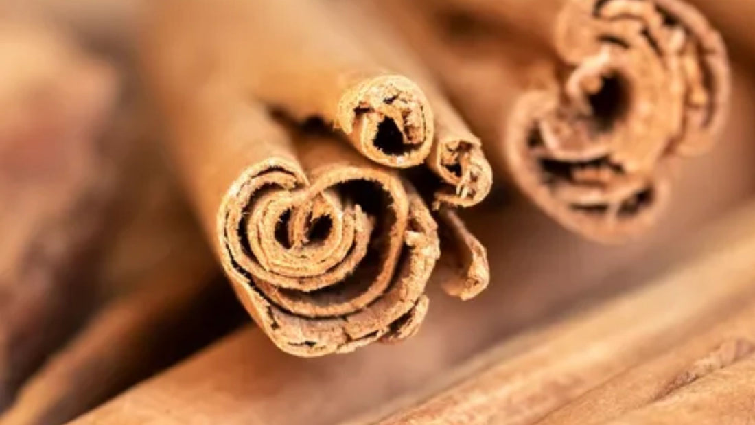 The Health Benefits of Organic Ceylon Cinnamon: Why K3 Nutriments Uses 1200mg Per Serving for Optimal Health