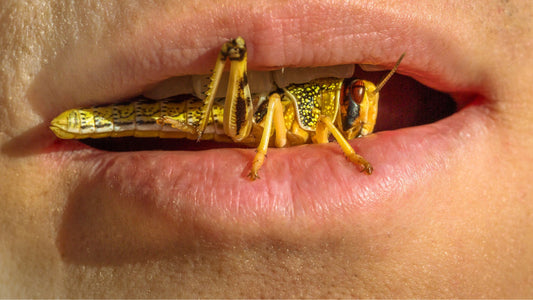 The Hidden Dangers of Eating Insects: A Comprehensive Analysis